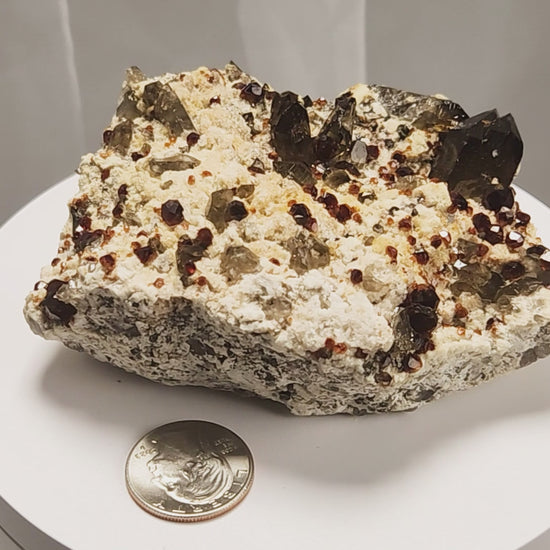 These gemmy Garnets are known as Spessartine Red Garnets, and they encrust and surround beautiful Smoky Quartz crystals on microcline feldspar matrices.  The mine these specimens come from is known for the beautiful blingy red- and orange-colored garnets that they yield. www.4crones.com