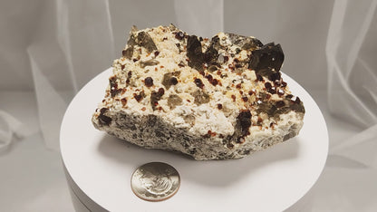These gemmy Garnets are known as Spessartine Red Garnets, and they encrust and surround beautiful Smoky Quartz crystals on microcline feldspar matrices.  The mine these specimens come from is known for the beautiful blingy red- and orange-colored garnets that they yield. www.4crones.com