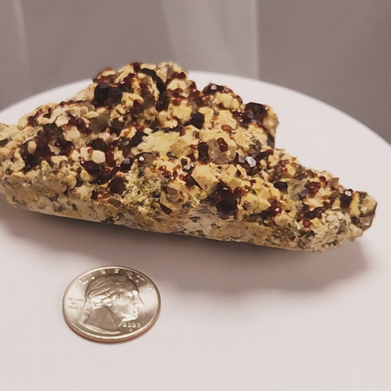 These gemmy Garnets are known as Spessartine Red Garnets, and they encrust and surround beautiful Smoky Quartz crystals on microcline feldspar matrices.  The mine these specimens come from is known for the beautiful blingy red- and orange-colored garnets that they yield. www.4crones.com