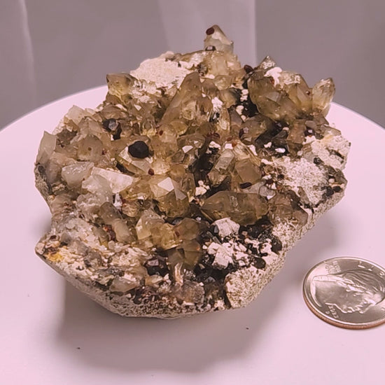 These gemmy Garnets are known as Spessartine Red Garnets, and they encrust and surround beautiful Smoky Quartz crystals on microcline feldspar matrices.  The mine these specimens come from is known for the beautiful blingy red- and orange-colored garnets that they yield. www.4crones.com