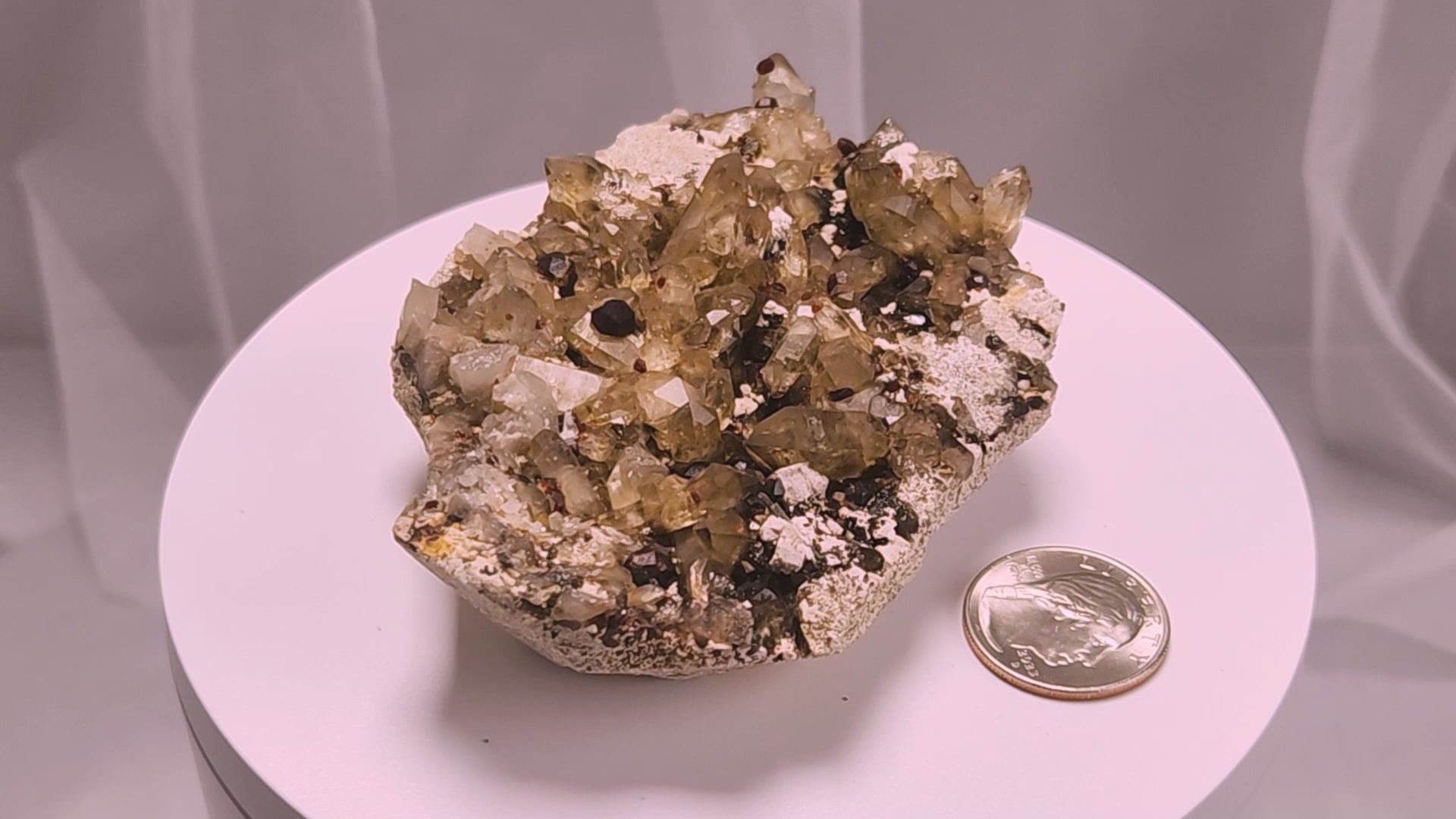 These gemmy Garnets are known as Spessartine Red Garnets, and they encrust and surround beautiful Smoky Quartz crystals on microcline feldspar matrices.  The mine these specimens come from is known for the beautiful blingy red- and orange-colored garnets that they yield. www.4crones.com