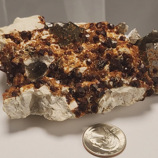 These gemmy Garnets are known as Spessartine Red Garnets, and they encrust and surround beautiful Smoky Quartz crystals on microcline feldspar matrices.  The mine these specimens come from is known for the beautiful blingy red- and orange-colored garnets that they yield. www.4crones.com
