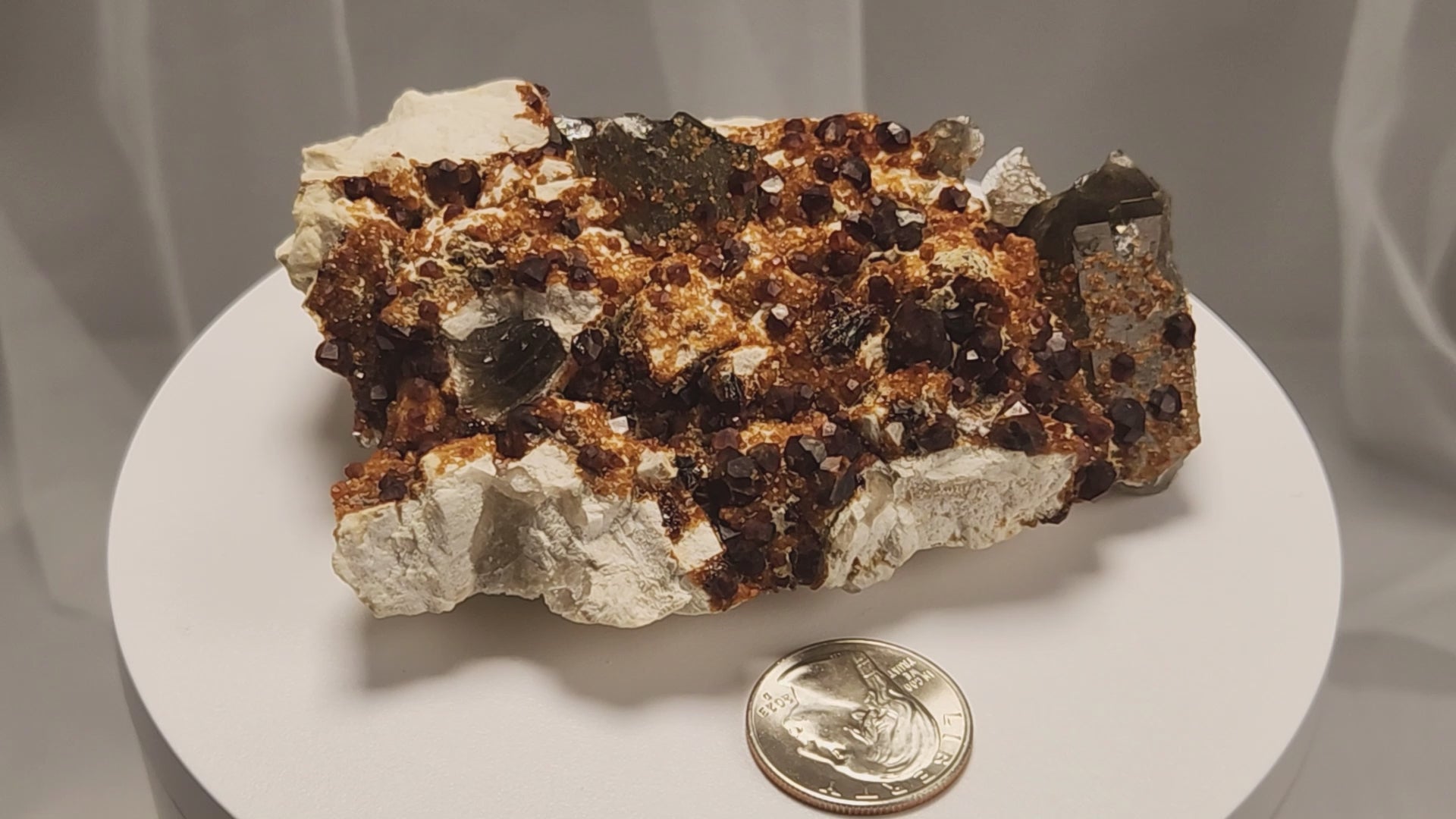 These gemmy Garnets are known as Spessartine Red Garnets, and they encrust and surround beautiful Smoky Quartz crystals on microcline feldspar matrices.  The mine these specimens come from is known for the beautiful blingy red- and orange-colored garnets that they yield. www.4crones.com